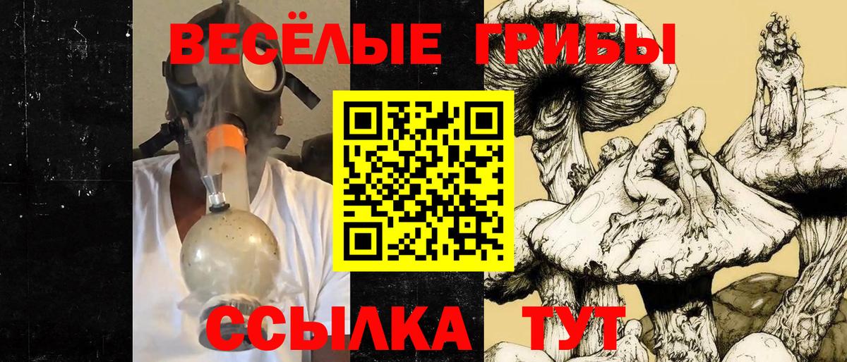 Псилоцибиновые грибы мухоморы Каменск-Шахтинский